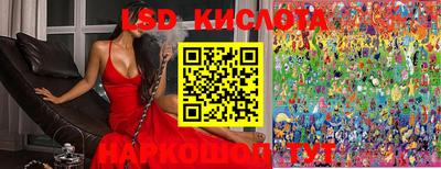 гидропоника Будённовск