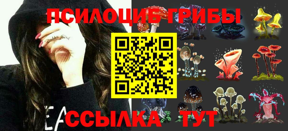 Псилоцибиновые грибы GOLDEN TEACHER Ступино