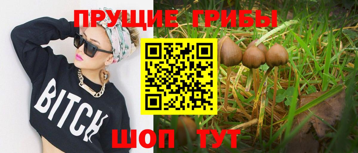 Псилоцибиновые грибы MAGIC MUSHROOMS  Вход с VPN  наркошоп  Ступино 